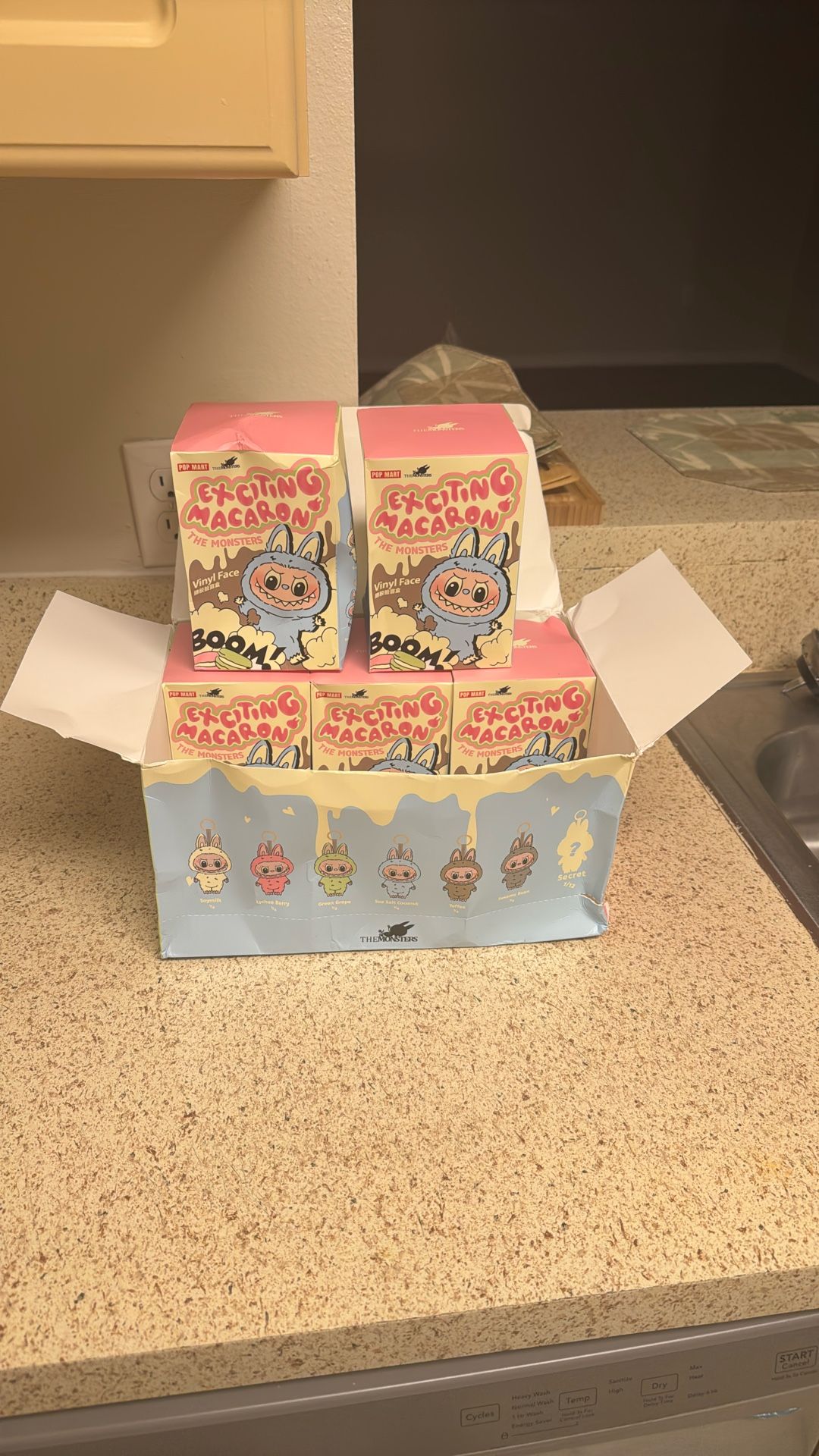 Exciting Macaron Labubu (5 Left)