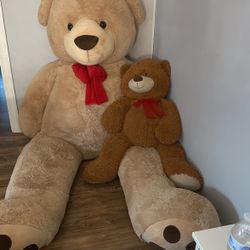 Giant teddy bear and medium size brown 