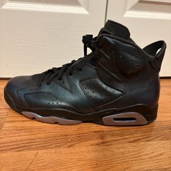 Jordan 6’s (size 14)