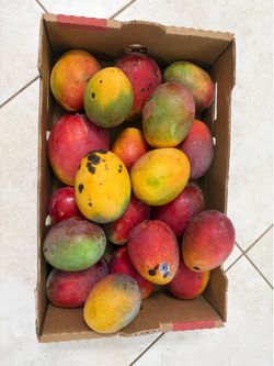 Title: 🥭 Fresh Florida Mangoes – Ready to Eat