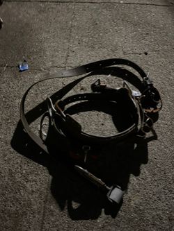 Climbing Belt