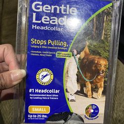 Head Collar