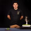Bonsai Master