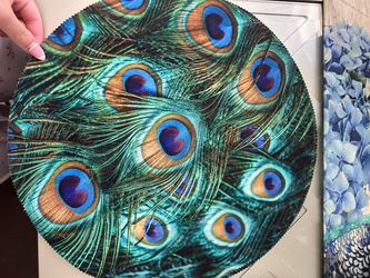 4 peacock placemats
