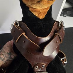 Dog Harness