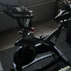 CYCLACE EXERCISE BIKE STATIONARY, 330LBS CAPACITY - BLACK/STAINLESS STEEL