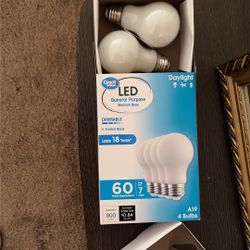 New 2 LED LIGHTS 