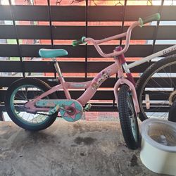girl's bike