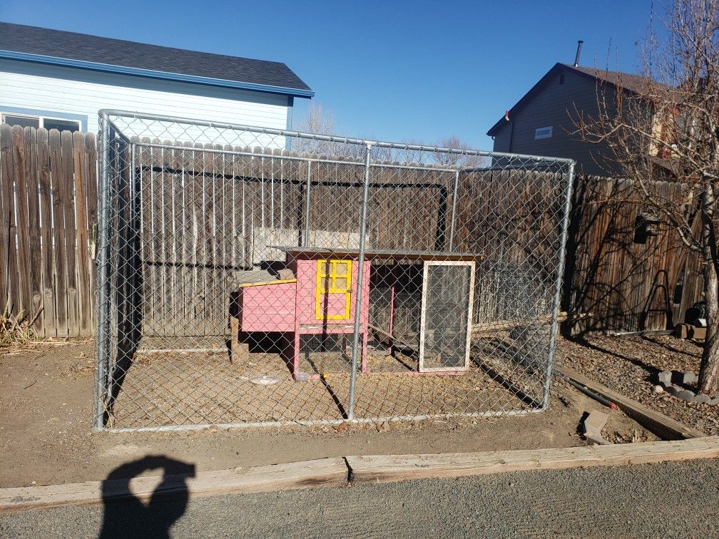 Dog Kennel