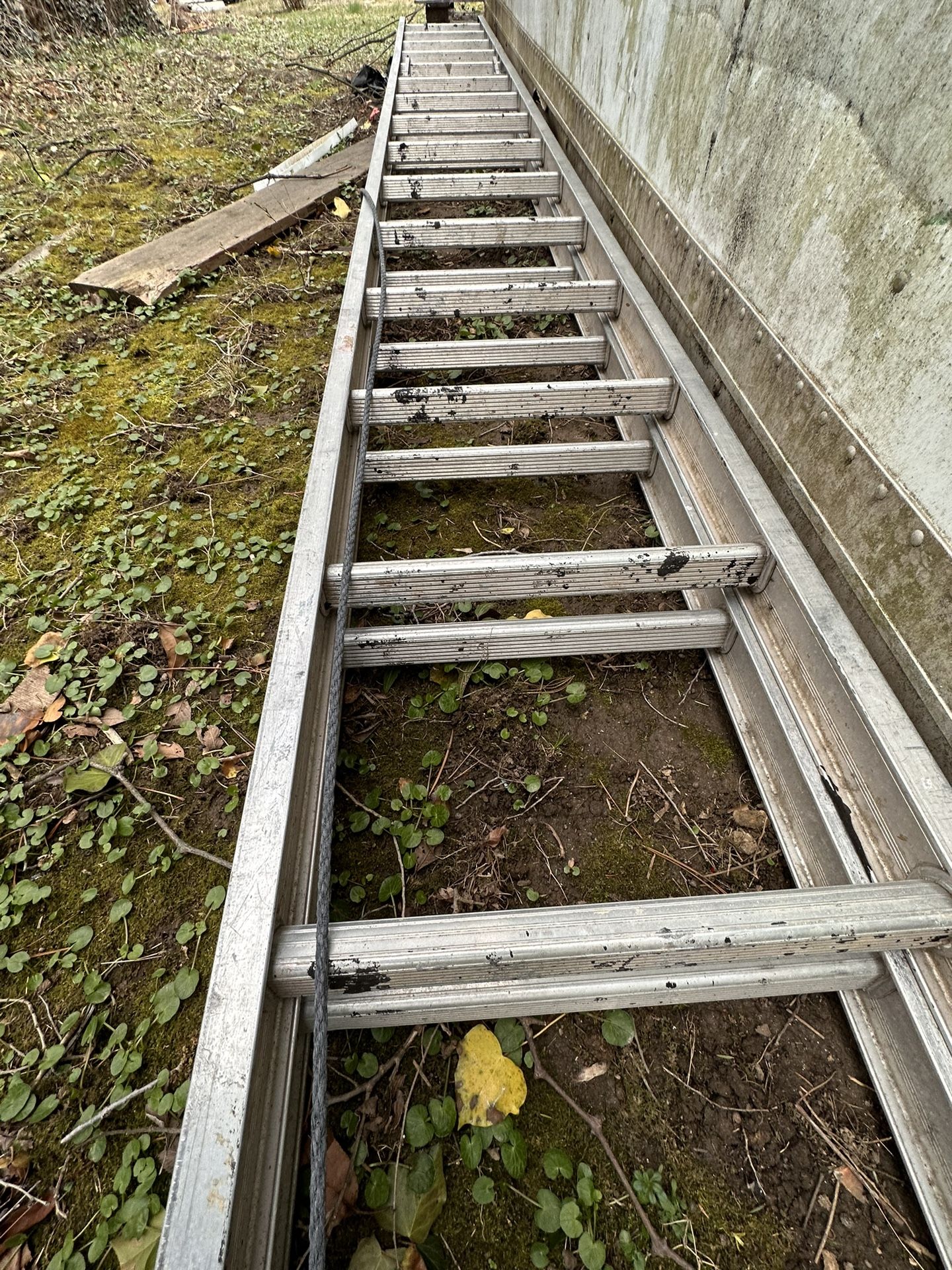 Aluminum D-Rung Extension Ladder