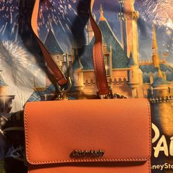 Calvin Klein Purse