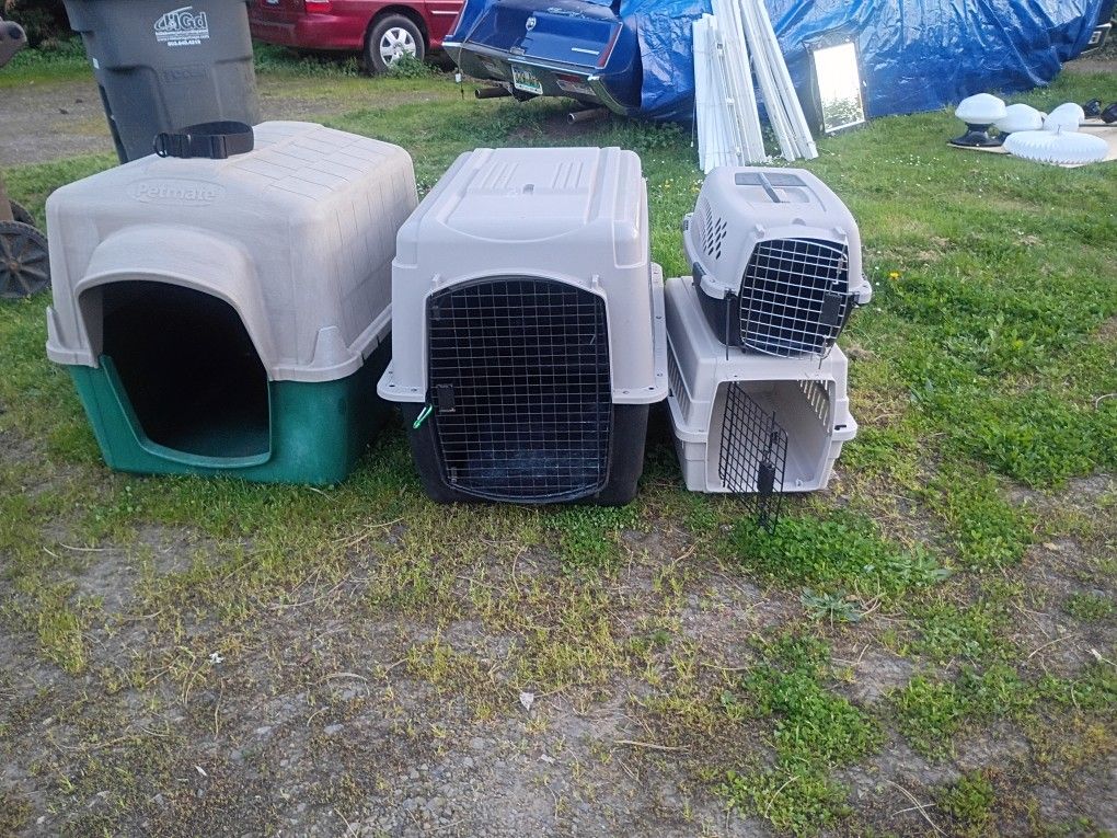Pet Carriers And Dog House