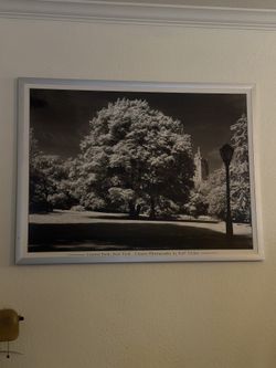 Art Photography