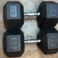 Free Weights (95lb)