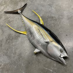 Yellowfin tuna half sided fish mount measures 73.5” l x 33” h x 8” d and by Miami Design District