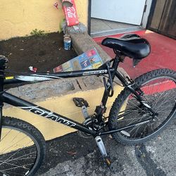 GIANT MOUNTAIN BIKE 