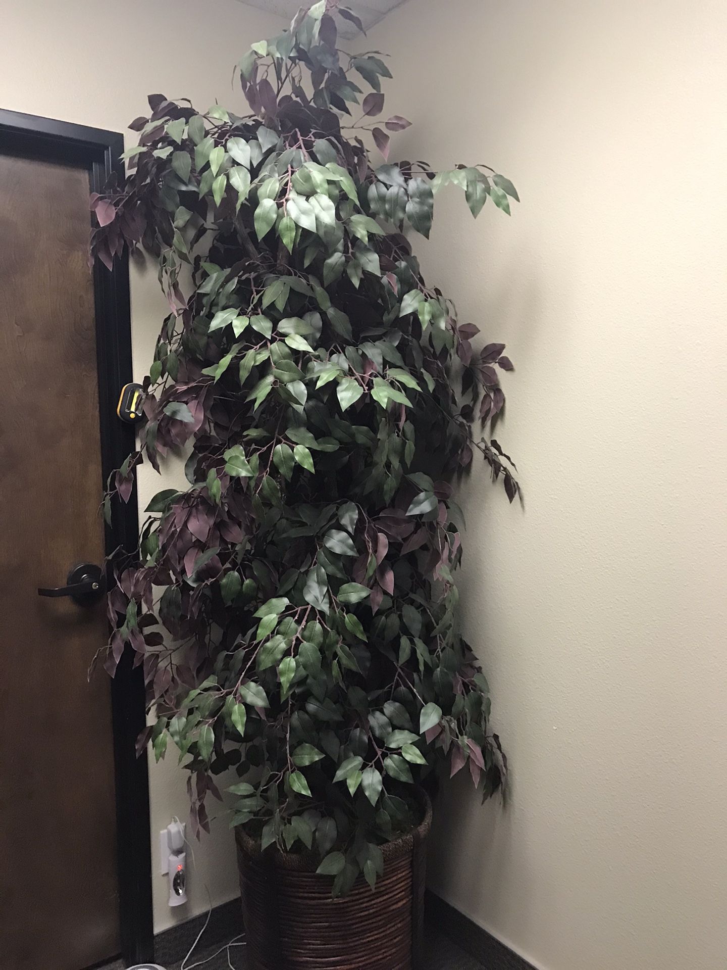 Fake green and purple ficus tree