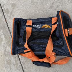 blson para perrito chico