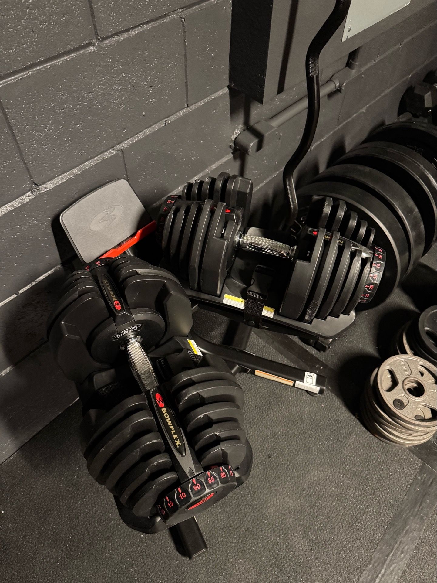 Bowflex 1090 Adjustable Dumbbells with Bowflex Stand