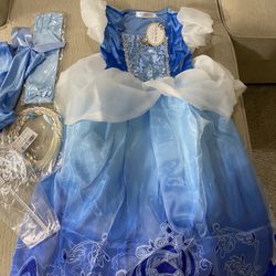 Halloween Costume Cinderella Princess Dress