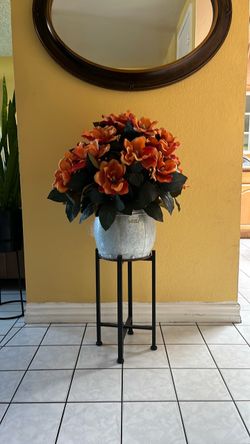 Planta
