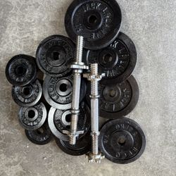 Dumbbells Weights 