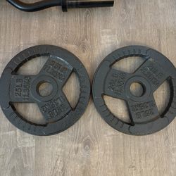 Two 25 Lb Weights