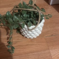 Artificial Plant 