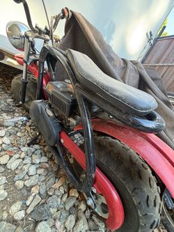Colman mini bike