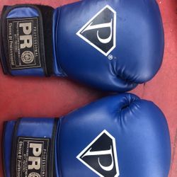 Boxing/ Muay Thai Gloves