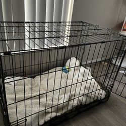 Crate/leashes/new Dog Bed