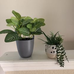 Decorative fake plants 