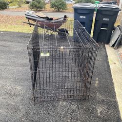 FREE Large Dog Crate