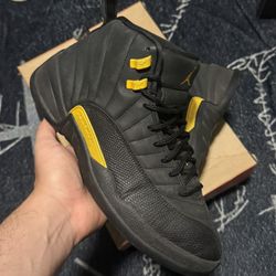 Jordan 12 Size 10 Used With Box 