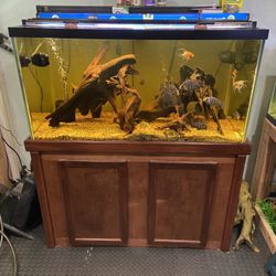 150 gallon aquarium for clearance sale