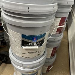 Pintura Paint Pintura Paint 