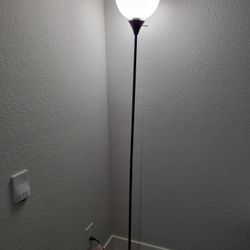 Black Floor Lamp