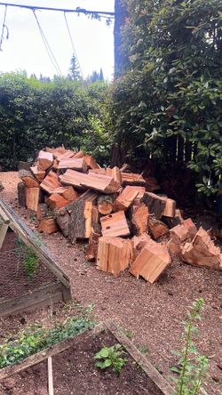 Free Fir firewood