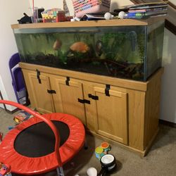 120 Gallon Fish Tank