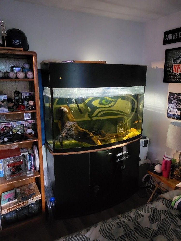 90 Gallon Fish Tank
