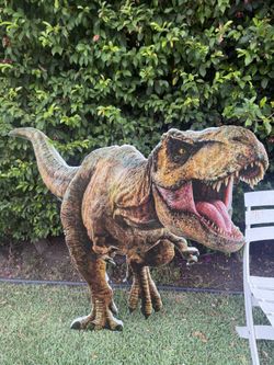 Huge Trex Cutout