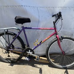 Specialized Hard Rock  Vintage 