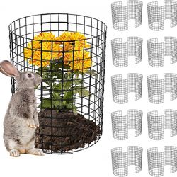 10 Pack Plant Protector from Animals, 14'' Dia x 14'' H Garden Protection from Rabbits Chickens Ducks, Metal Plant Cages to Keep Animals Out, Bunny Ba