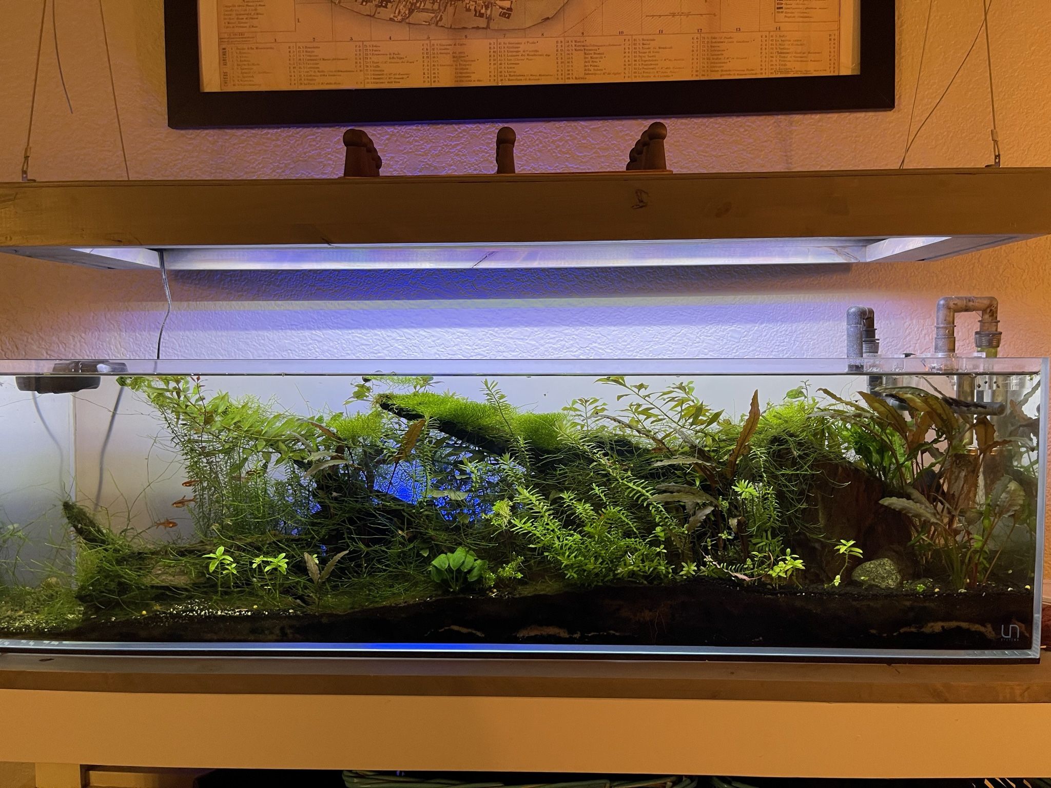 Uns 12 Gallon Bookshelf Aquarium