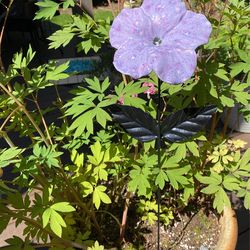 Handmade Hibiscus