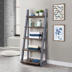 Bookcase Shelf Ladder 