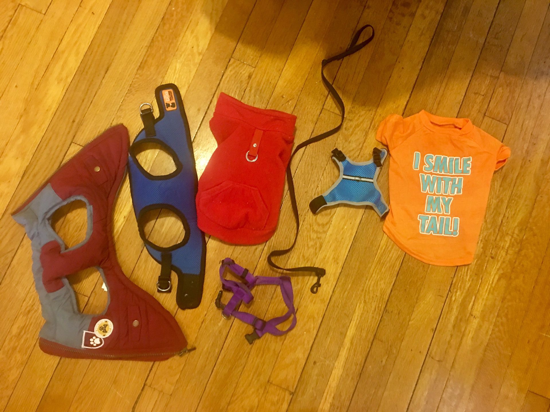 Puppy clothes / harnesses
