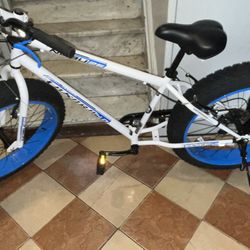 Brand New Bike