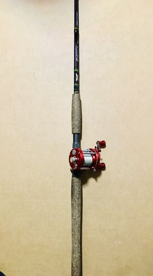 Big Game Fishing Rods For Sale