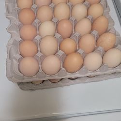 Organic Eggs 